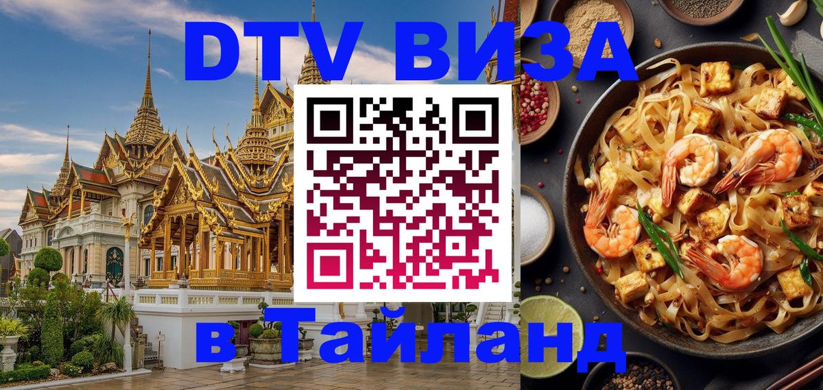Электронная виза DTV в Тайланд Тирана 